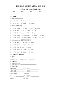 沪教牛津版三年级下册 期中易错点专项复习-专题01 词语 语音