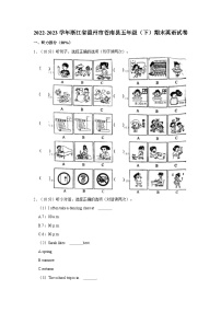 2022-2023学年浙江省温州市苍南县五年级下学期期末英语试卷（含解析）