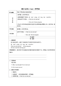 英语湘少版Unit 1 What does she look like?教案