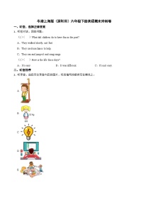 牛津上海版（深圳用）六年级下册英语期末冲刺卷