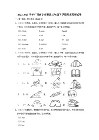 2022-2023学年广西南宁市横县三年级下学期期末英语试卷（word版含答案解析）