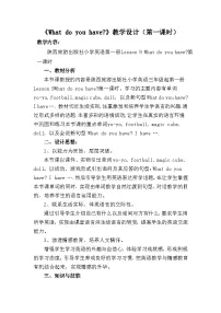 小学陕旅版Unit 5 I have a bag教案