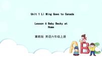 小学英语冀教版 (三年级起点)六年级上册Unit 1 Li Ming Comes to CanadaLesson6 Baby Becky at Home示范课课件ppt