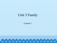 小学英语鲁科版 (五四制)三年级上册Lesson 1 This Is My Mother.多媒体教学ppt课件