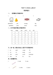 牛津译林版一年级上册Unit 5 A cherry,please精品当堂达标检测题