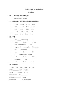 牛津译林版一年级上册Unit 6 Look at my balloon精品一课一练