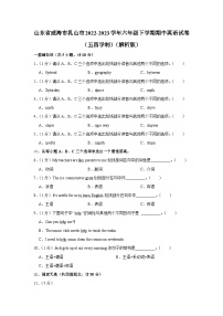 山东省威海市乳山市2022-2023学年六年级下学期期中英语试卷（五四学制）