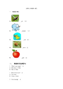 英语二年级上册Unit 1 Hello!精品当堂检测题