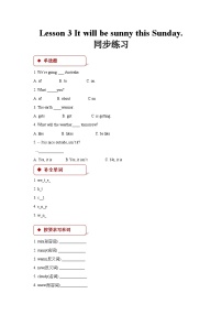 小学科普版Lesson 3:It will be sunny this Sunday精品习题