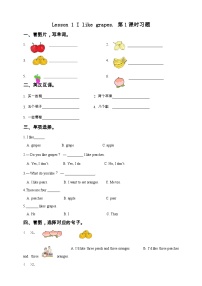 接力版五年级上册Lesson 1 I like grapes.优秀第1课时综合训练题