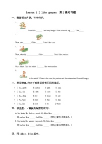 接力版五年级上册Lesson 1 I like grapes.精品第2课时同步训练题