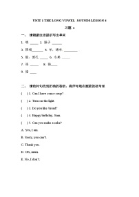 清华大学版三年级上册Unit 1 The long vowel sounds优秀课后练习题