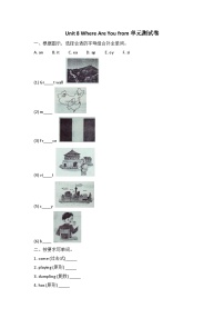 小学英语陕旅版五年级上册Unit 8 Where are you from?优秀单元测试课时练习