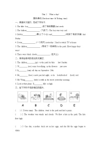 英语六年级上册Unit 2 What a day!课时作业