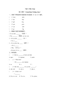 小学牛津译林版Unit 1 I like dogs练习题