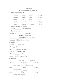 小学英语牛津译林版四年级上册Unit 8 Dolls课时训练