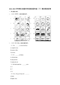 2022-2023学年浙江省温州市苍南县四年级下学期期末英语试卷（含解析）