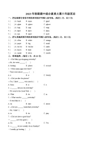 2022-2023学年河南省驻马店市确山县科普版六年级下学期4月期中英语试卷