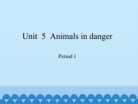 小学英语沪教牛津版(六三制三起)六年级上册Module 2 RelationshipsUnit 5 Animals in danger集体备课ppt课件