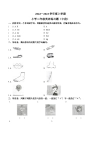 2022-2023学年广东省东莞市人教PEP版三年级上学期11月期中英语试卷(无答案)