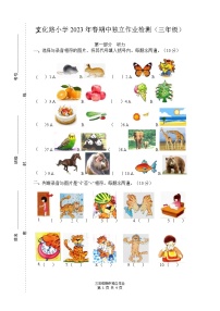 湖北省武汉市江夏区文化路小学2022-2023学年三年级下学期期中英语检测