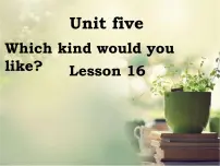 小学英语Lesson 16背景图课件ppt