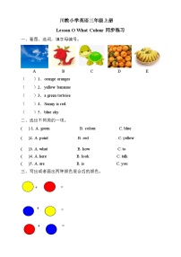 小学英语川教版三年级上册Lesson O What Colour?优秀当堂检测题