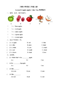 小学英语川教版三年级上册Lesson R Apple,Apple,I Like You!精品课后复习题