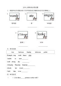 期末（试题）人教PEP版英语五年级上册