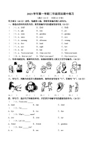 2023-2024学年广东省广州市海珠区江南片区联考教科版（广州）三年级上学期11月期中英语试卷(无答案)