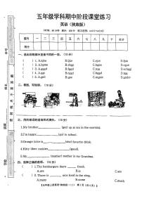 甘肃省定西市岷县2023-2024学年五年级上学期期中英语试题