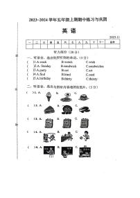 河南省辉县市文昌小学2023-2024学年五年级上学期期中英语试卷