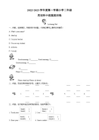 2022-2023学年广东省揭阳市榕城区人教PEP版三年级上学期期中考试英语试卷（解析版）