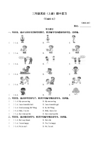 71，2022-2023学年广东省深圳市罗湖区沪教牛津版（深圳用）三年级上学期英语期中试卷(无答案)