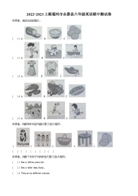 2022-2023学年福建省福州市永泰县闽教版六年级上册期中英语试卷（解析版）