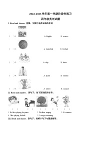 2022-2023学年山东省淄博市高青县鲁科版（五四学制）（三起）四年级上学期期中阶段练习英语试卷(无答案)