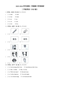 2023-2024学年广东省汕尾市陆丰市人教PEP版三年级上册期中学情调研英语试卷（解析版）