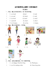 山东省淄博市临淄区某校2023-2024学年五年级上学期月考英语试题