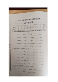 河南省商丘市民权县2023-2024学年六年级期上学期期中英语试题