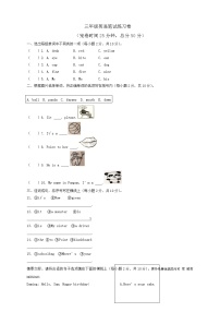 海南省三亚市吉阳区和平实验学校2022-2023学年三年级下学期期末英语试题