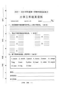 广东省梅州市大埔县2023-2024学年三年级上学期11月期中英语试题