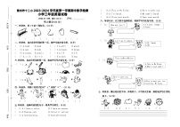 广东省湛江市雷州市十二小2023-2024学年三年级上学期期中英语试题