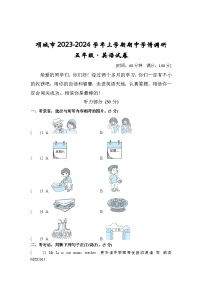 河南省周口市项城市2023-2024学年五年级上学期11月期中英语试题