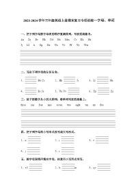 2023-2024学年三年级英语上册期末复习专项训练—字母、单词