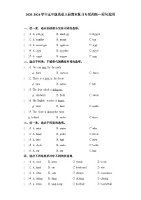 2023-2024学年五年级英语上册期末复习专项训练—词句运用