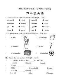 河南省平顶山市高新区2020-2021学年六年级下学期期末英语试题