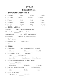 期末综合测试卷（二）-2023-2024学年小学英语五年级上册（译林版三起）