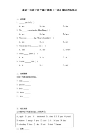 期末（试题）牛津上海版（三起）英语三年级上册