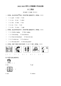 2022-2023学年河南省平顶山市郏县外研版（三起）三年级上册期中考试英语试卷