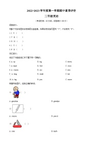 2022-2023学年辽宁省鞍山市海城市海城市析木镇中心小学辽师大版（三起）三年级上册11月期中素养评价英语试卷